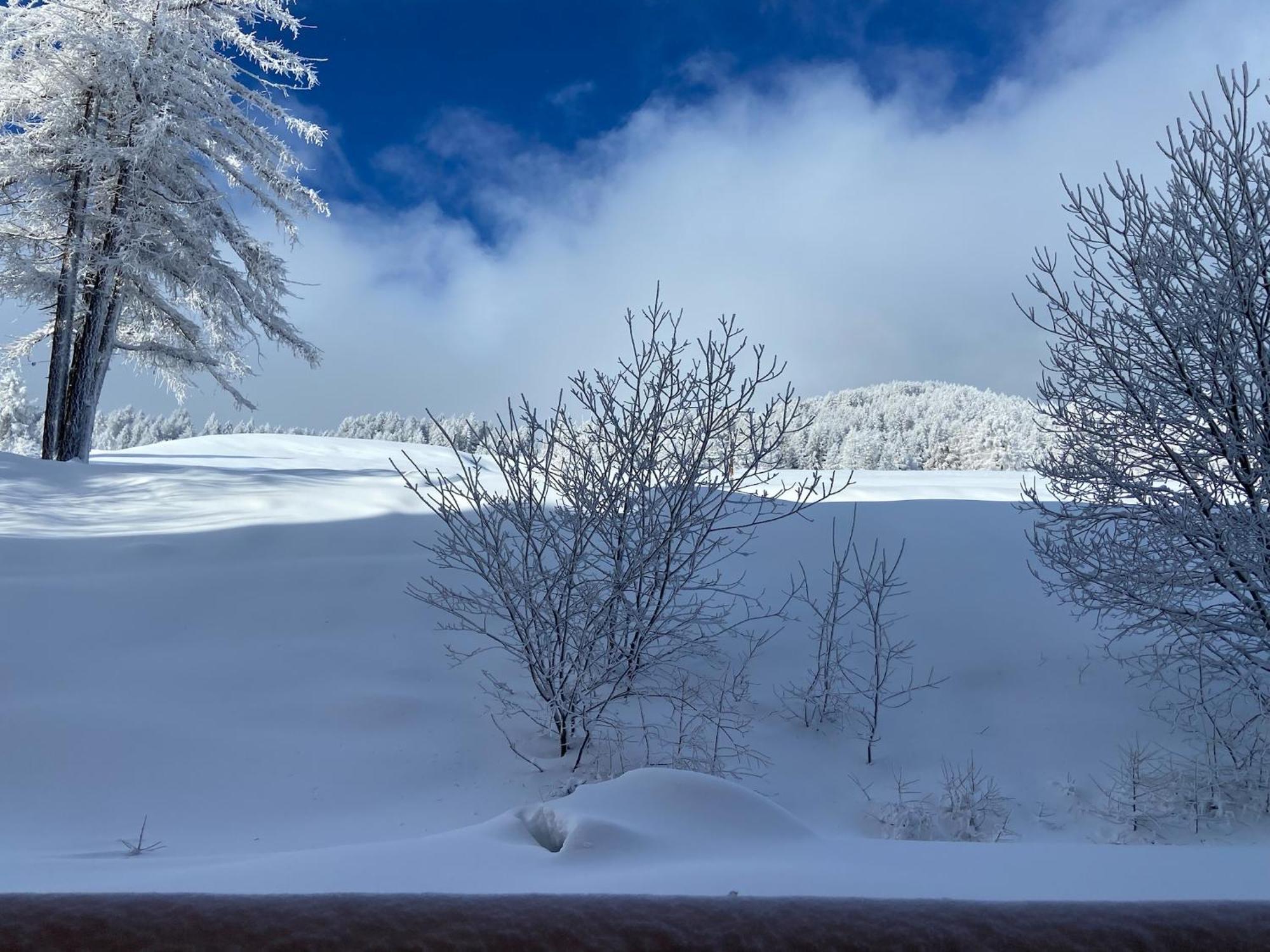 Pied Des Pistes, 2 Pieces, 6Pers, Piscine Et Sauna Risoul Dış mekan fotoğraf